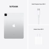 iPad Pro 12,9 inch (M1)